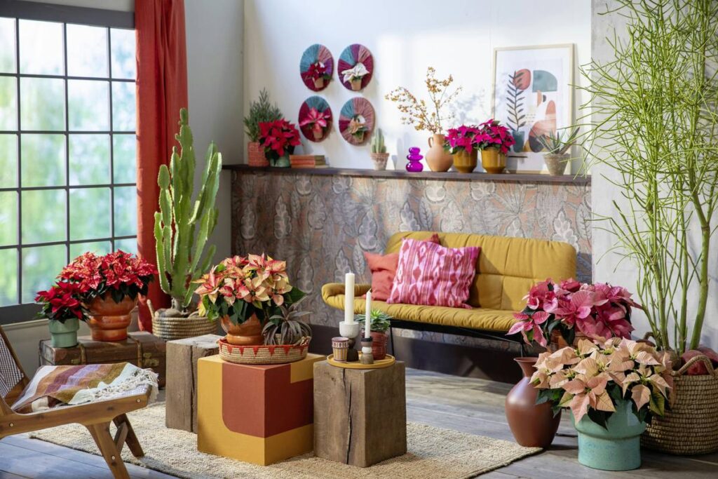 Decorative Flowers for Home: 7 Proven Tips to Avoid Costly Mistakes