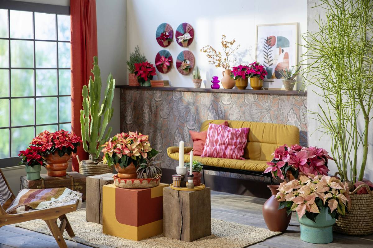 Decorative Flowers for Home: 7 Proven Tips to Avoid Costly Mistakes