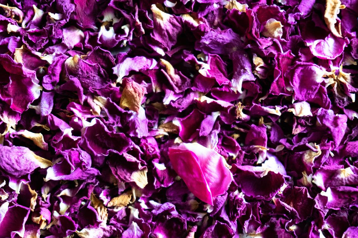 how to make scented dried flowers using silica gel and lavender stems in a sealed container