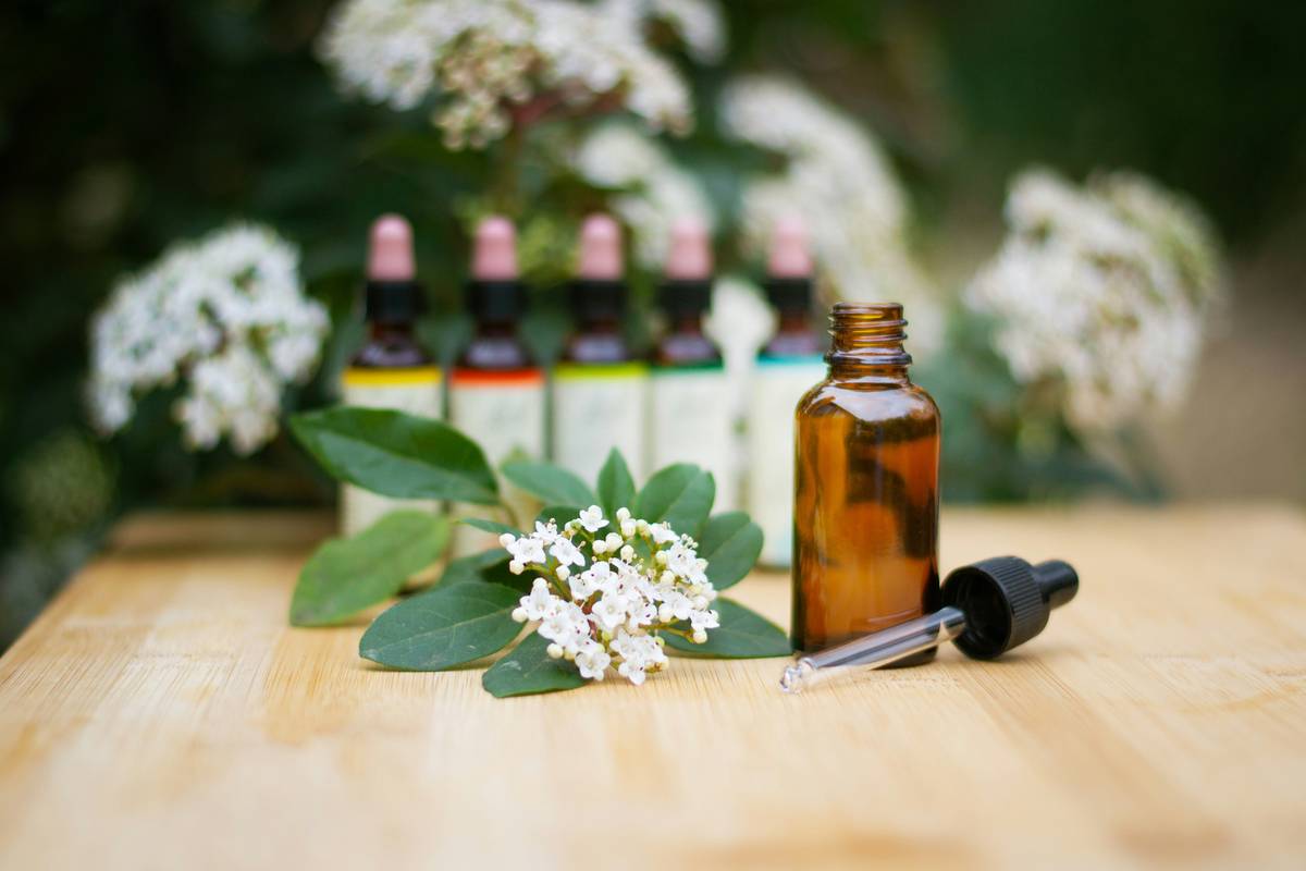 Flowers Soothing the Senses: 7 Proven Ways to Avoid Sensory Overload in Skincare