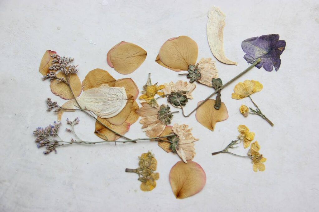 How to Make Scented Dried Flowers: 7 Proven Tips to Avoid Costly Mistakes