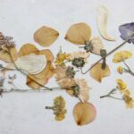 How to Make Scented Dried Flowers: 7 Proven Tips to Avoid Costly Mistakes